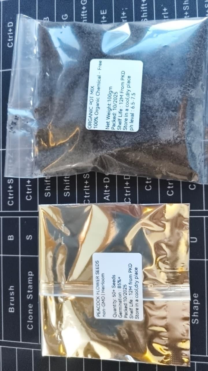 Vibrant Peacock Flower Seeds - Premium Quality Gardening Seeds (Pack of 1)